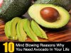 10-reasons-for-avocado-in-your-life.jpg