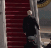 biden-fell-biden-falling.gif