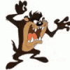 tasmanian-devil (1).gif
