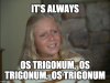 IT'S ALWAYS OS TRIGONUM.jpg